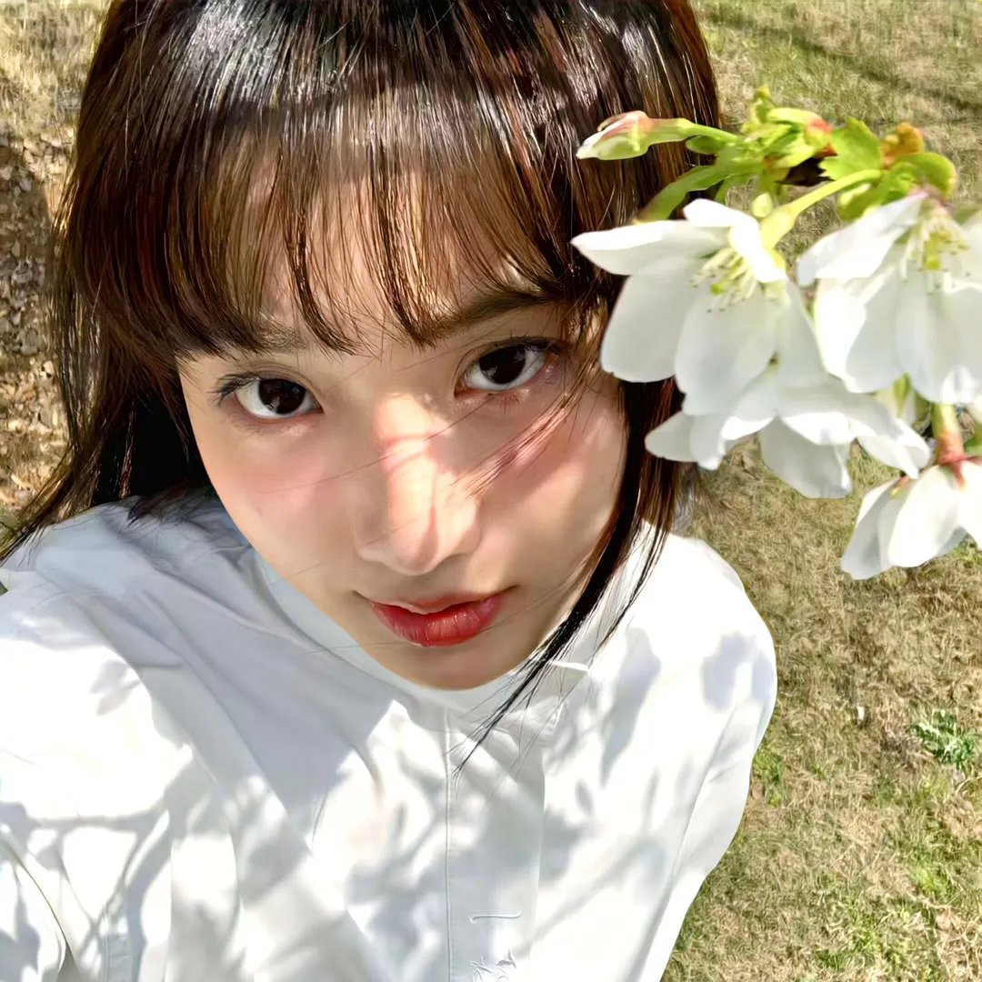 花园宝宝 海报