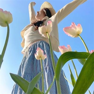 粉红帮 海报